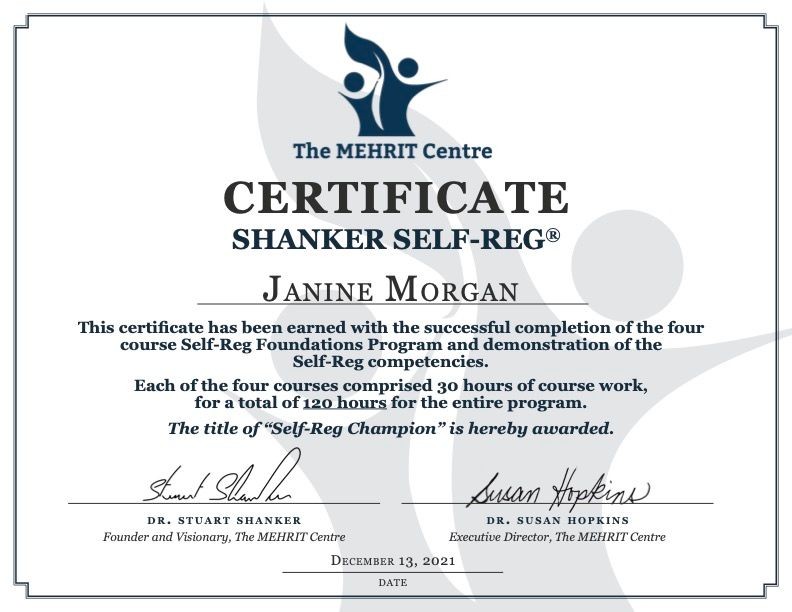 Self Regulation Foundations